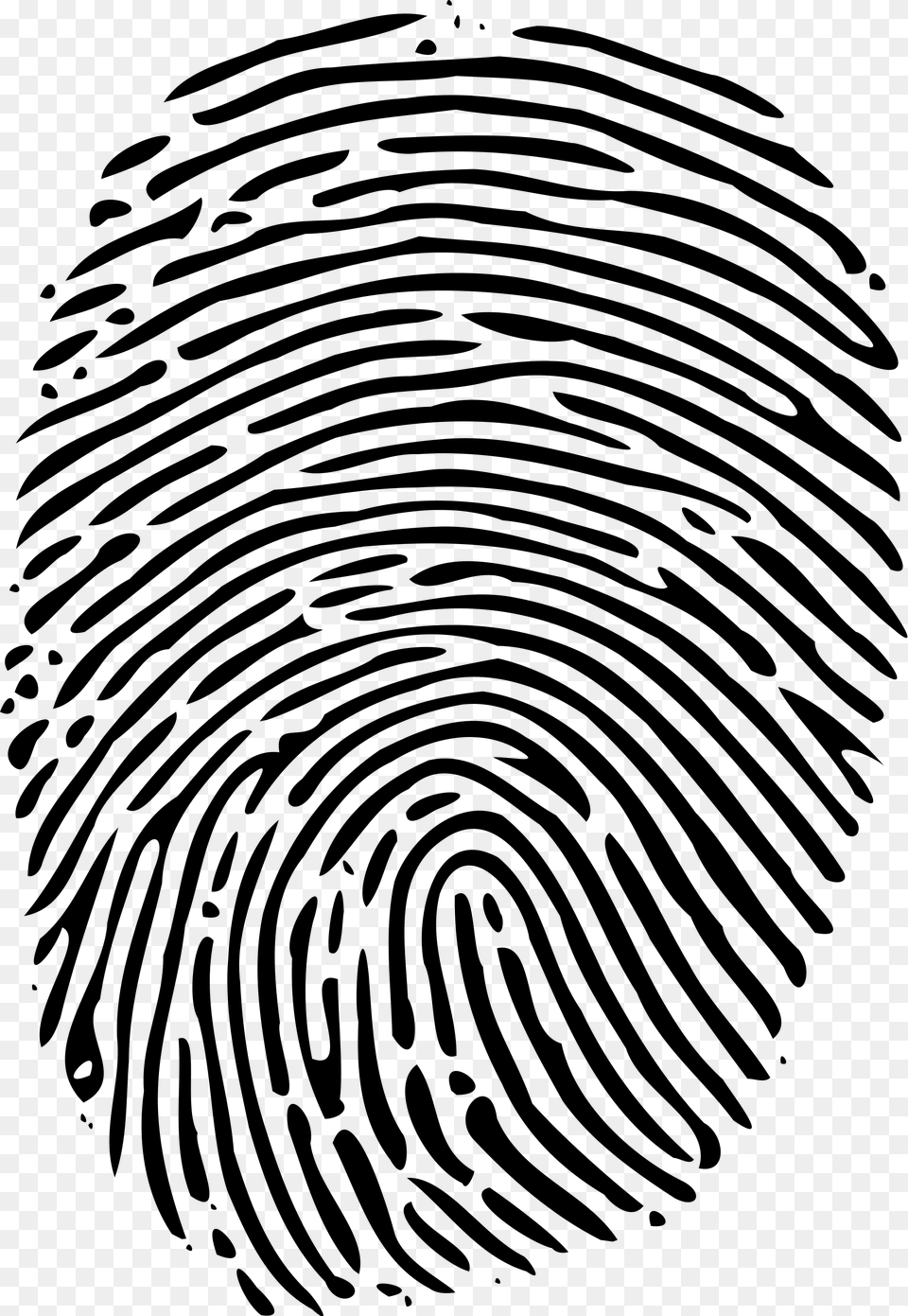 Fingerprint, Gray Png