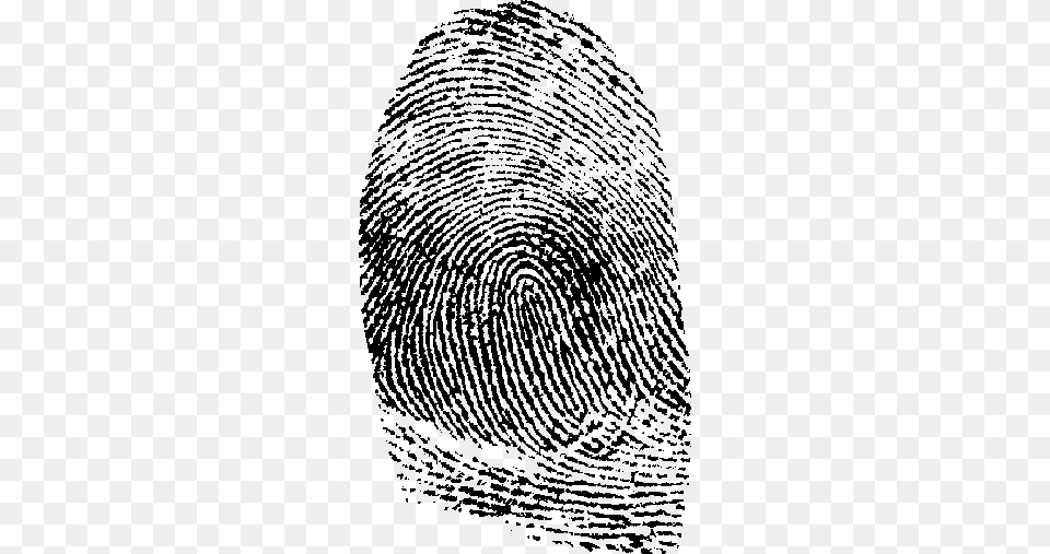 Fingerprint, Home Decor, Spiral, Rug, Coil Free Png