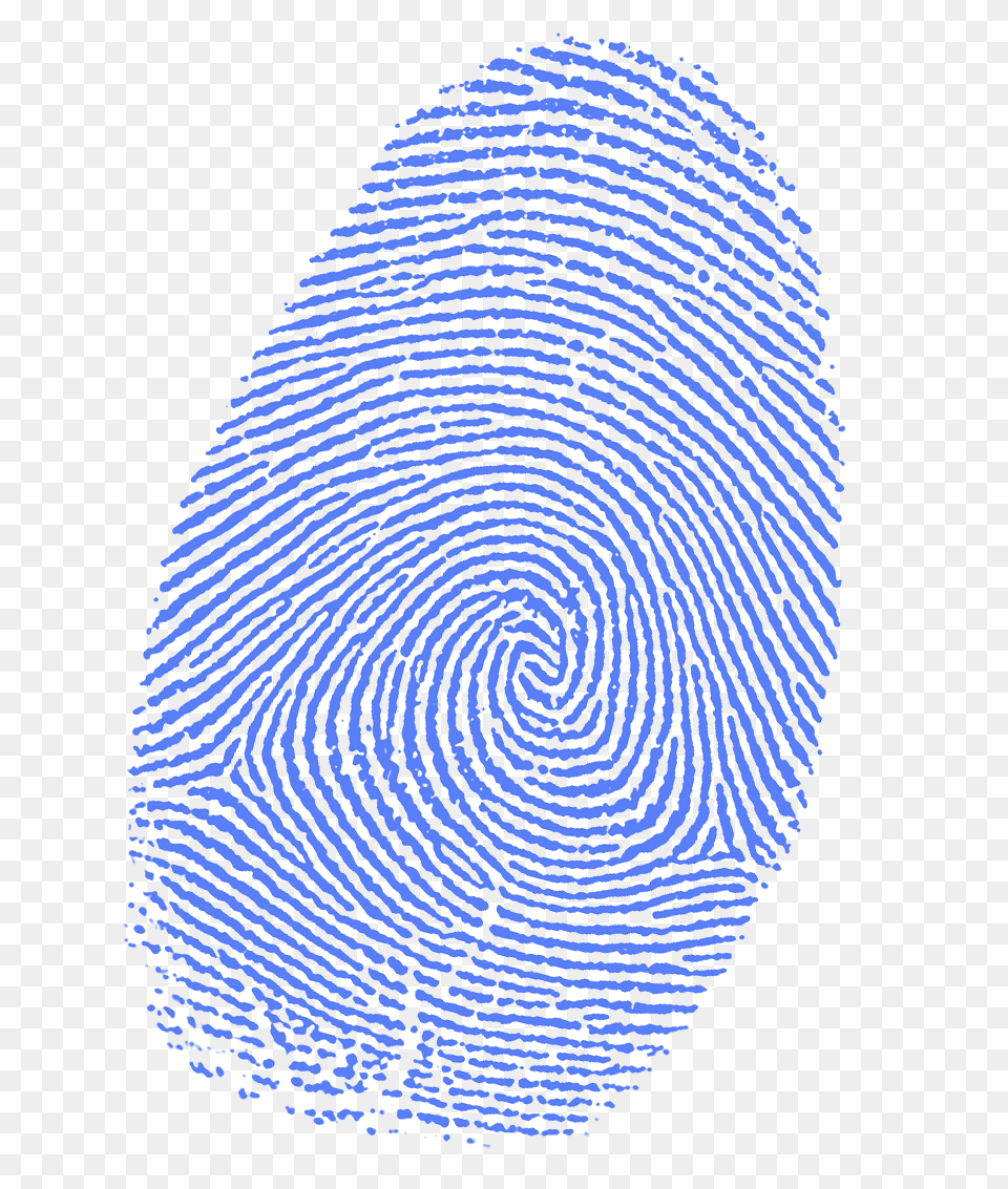 Fingerprint, Home Decor, Rug, Spiral, Coil Free Png Download