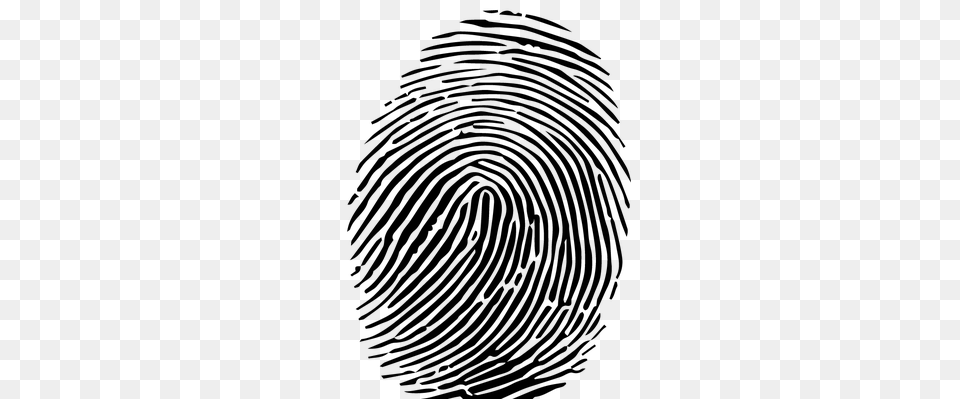 Fingerprint, Gray Png Image