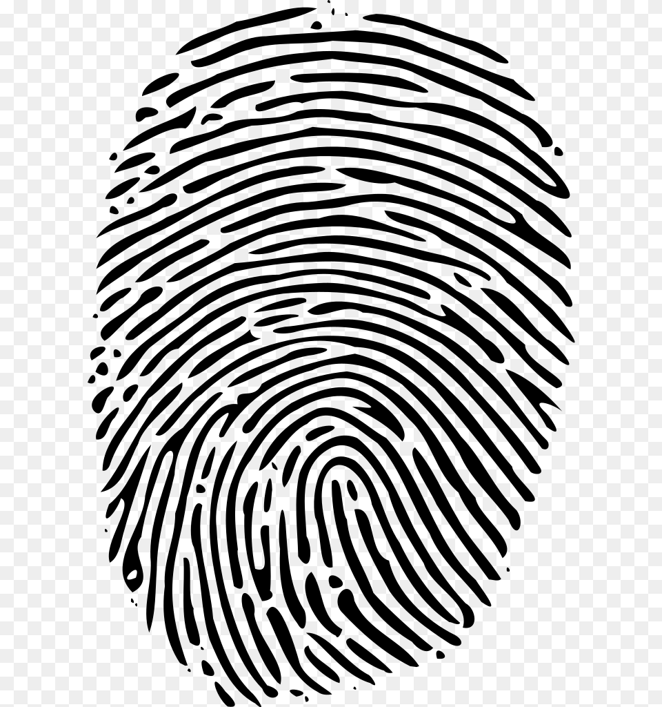 Fingerprint, Gray Free Png