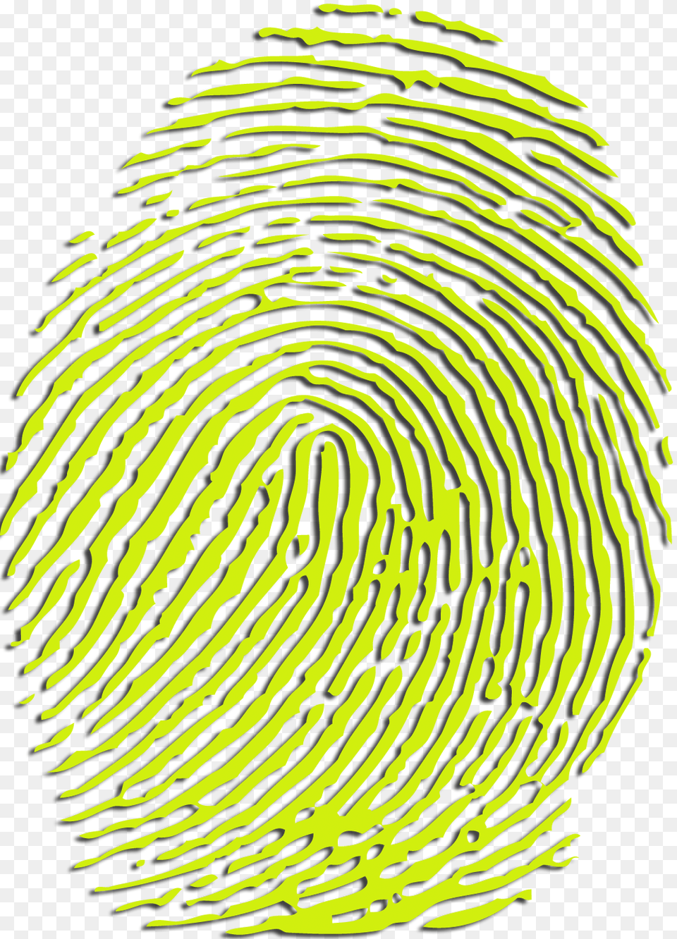 Fingerprint, Spiral, Person, Maze Png Image