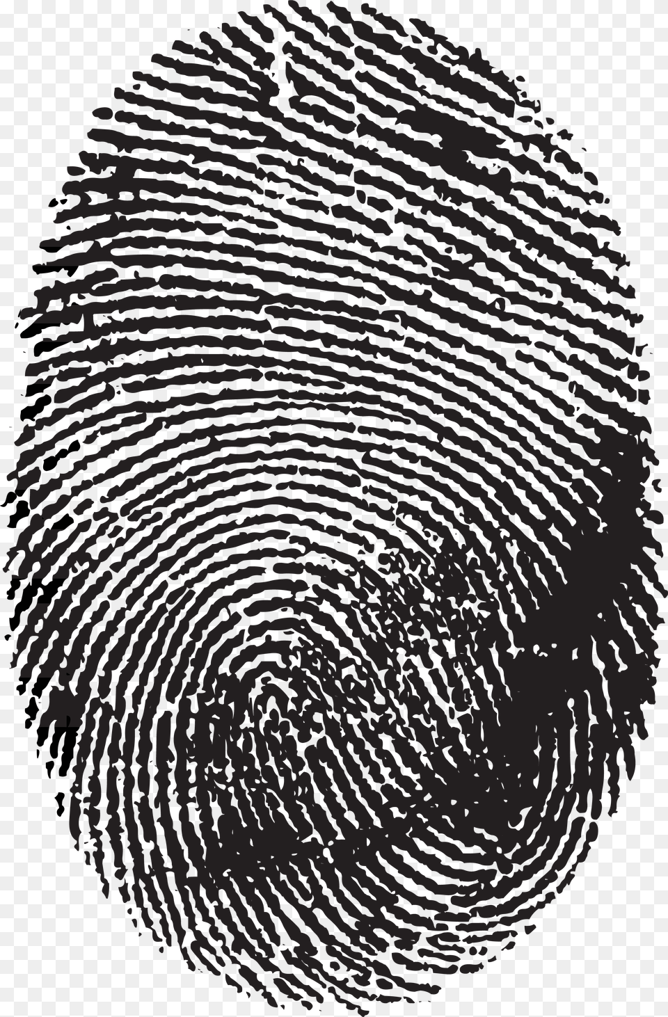 Fingerprint, Home Decor, Texture, Rug, Face Png