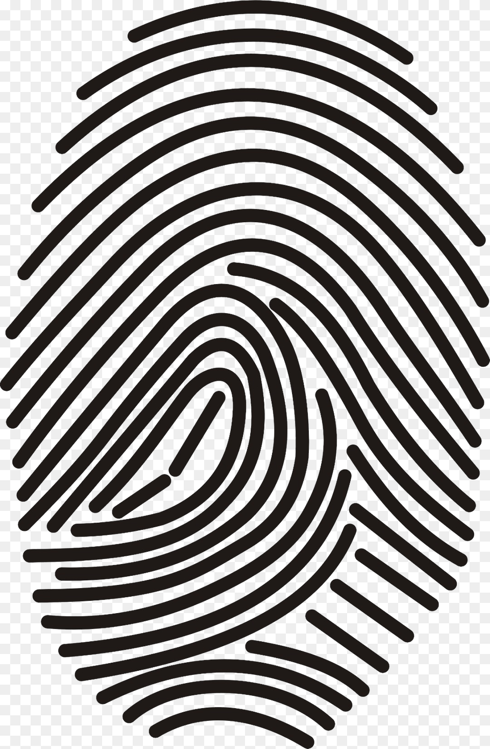 Fingerprint, Spiral, Pattern Free Transparent Png
