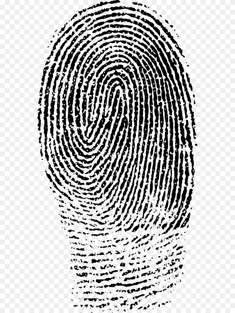 Fingerprint Black And White, Gray Free Png Download