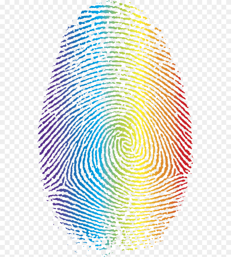 Fingerprint Clip Art Fibonacci Sequence In Fingerprint, Spiral, Coil, Pattern, Home Decor Free Png Download