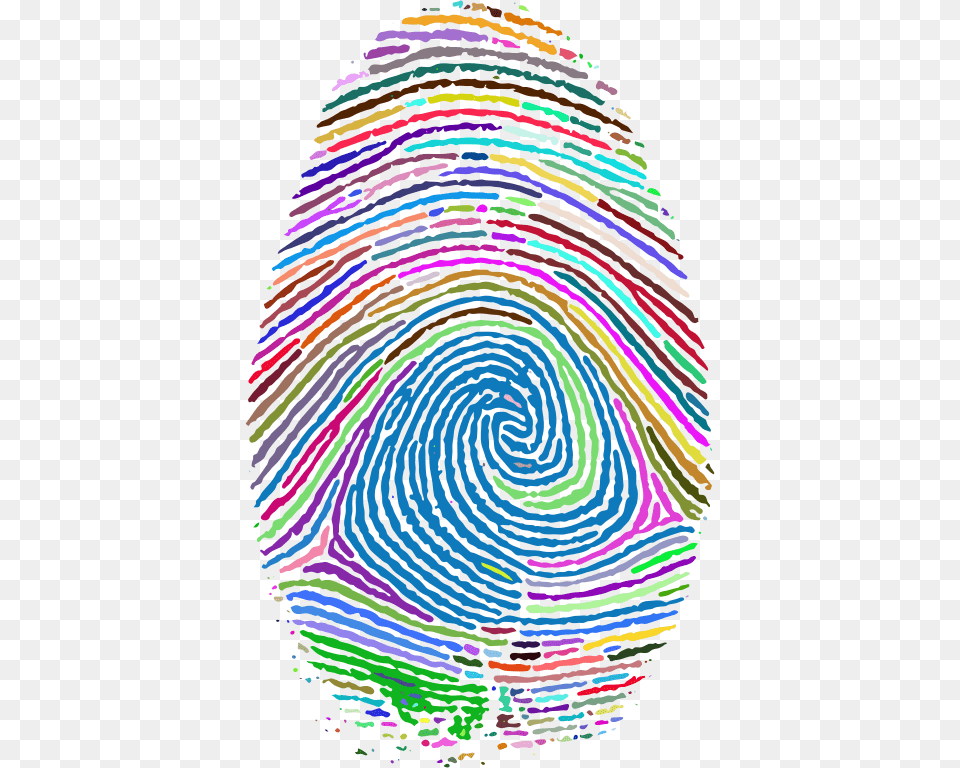 Fingerprint Clipart Green Background Finger Print, Spiral, Adult, Female, Person Free Transparent Png