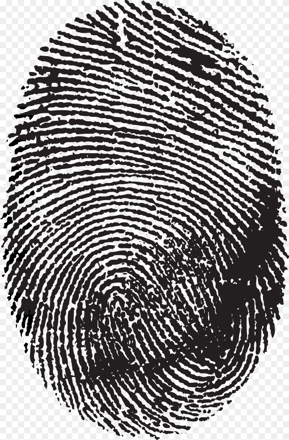 Fingerprint Image Scanner No Icon Background Fingerprint, Home Decor, Texture, Rug, Face Free Png Download