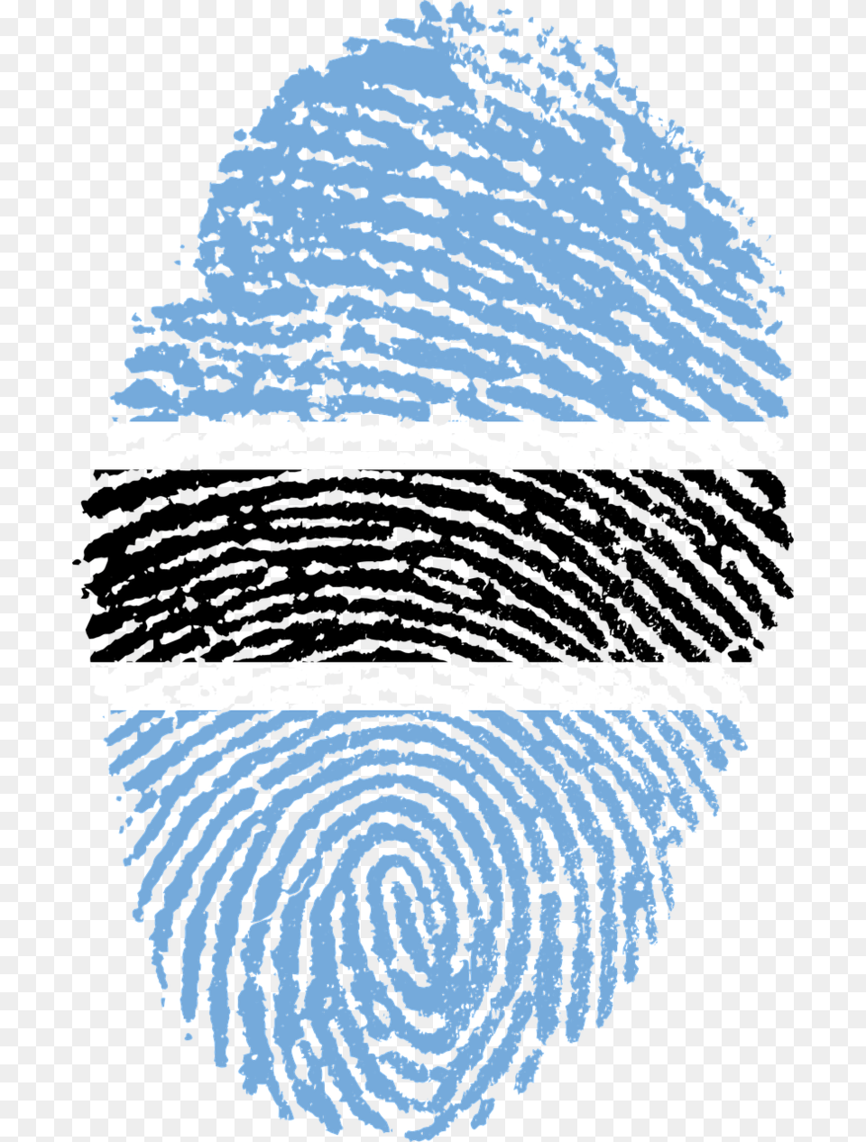 Fingerprint Image With Transparent Chinese Fingerprint, Home Decor, Rug, Person, Outdoors Png