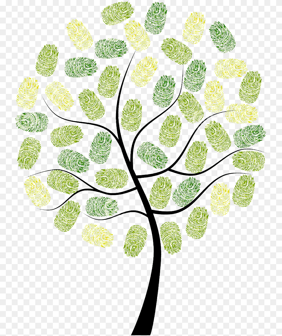 Fingerprint Owl Tree Digit Euclidean Vector Arbol Huellas Vectores De Arboles, Leaf, Moss, Plant Free Png Download