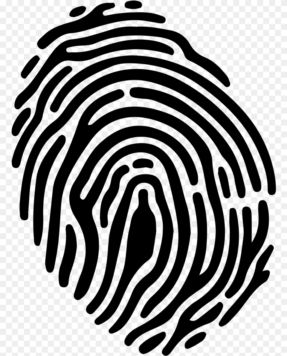 Fingerprint Shape Clip Art Ios Touch Id, Gray Free Png