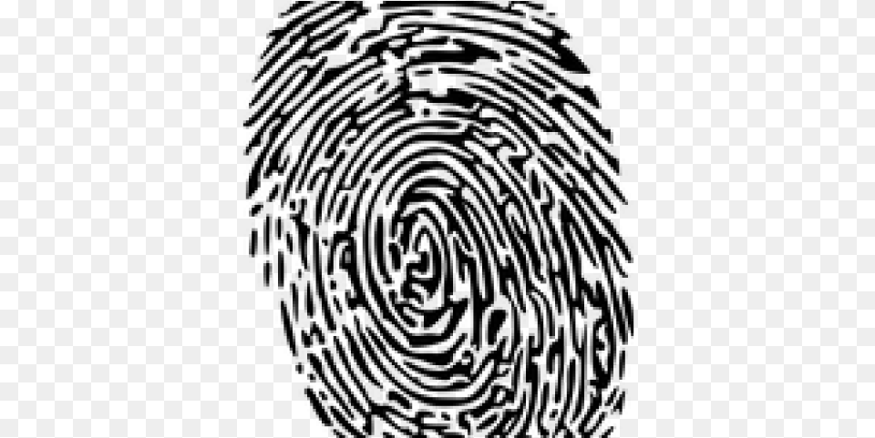 Fingerprint Transparent Transparent Fingerprint Illustration Png Image