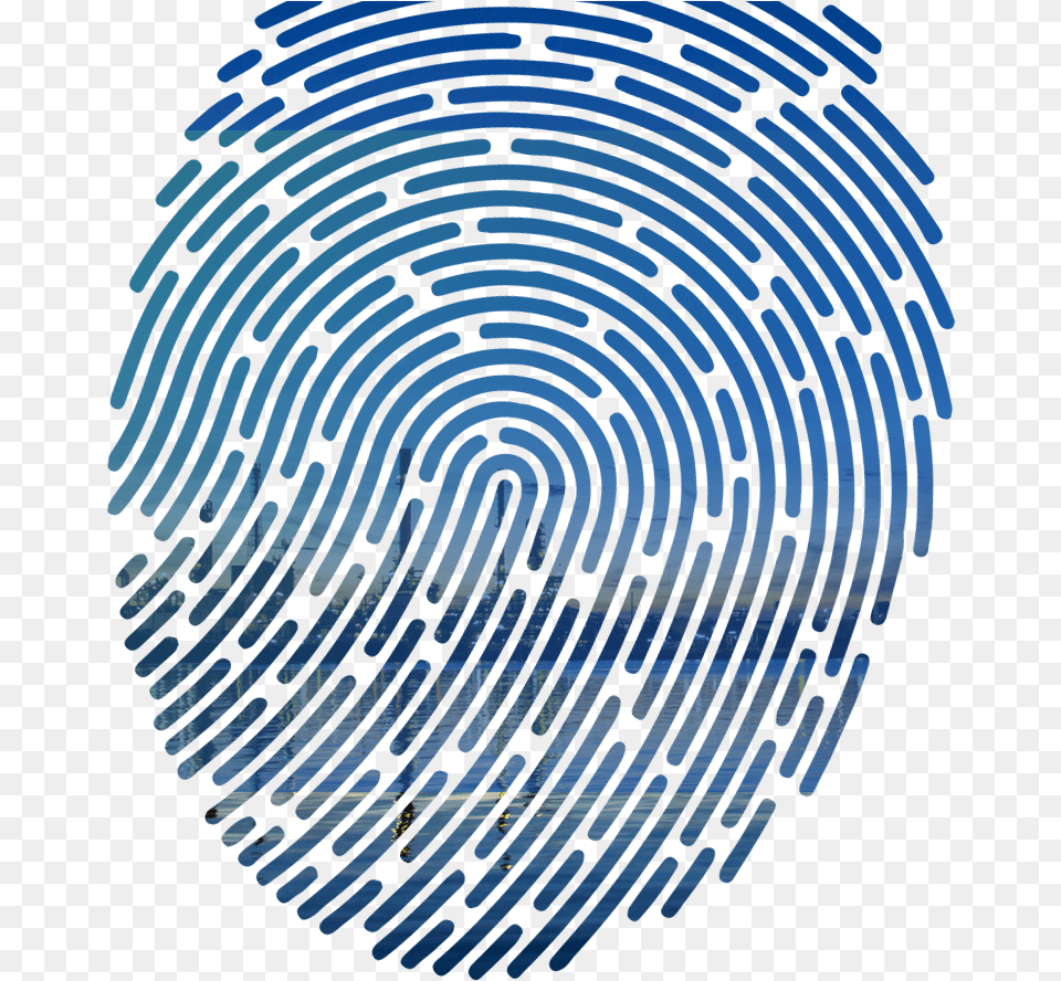 Fingerprint Vector, Pattern Free Transparent Png