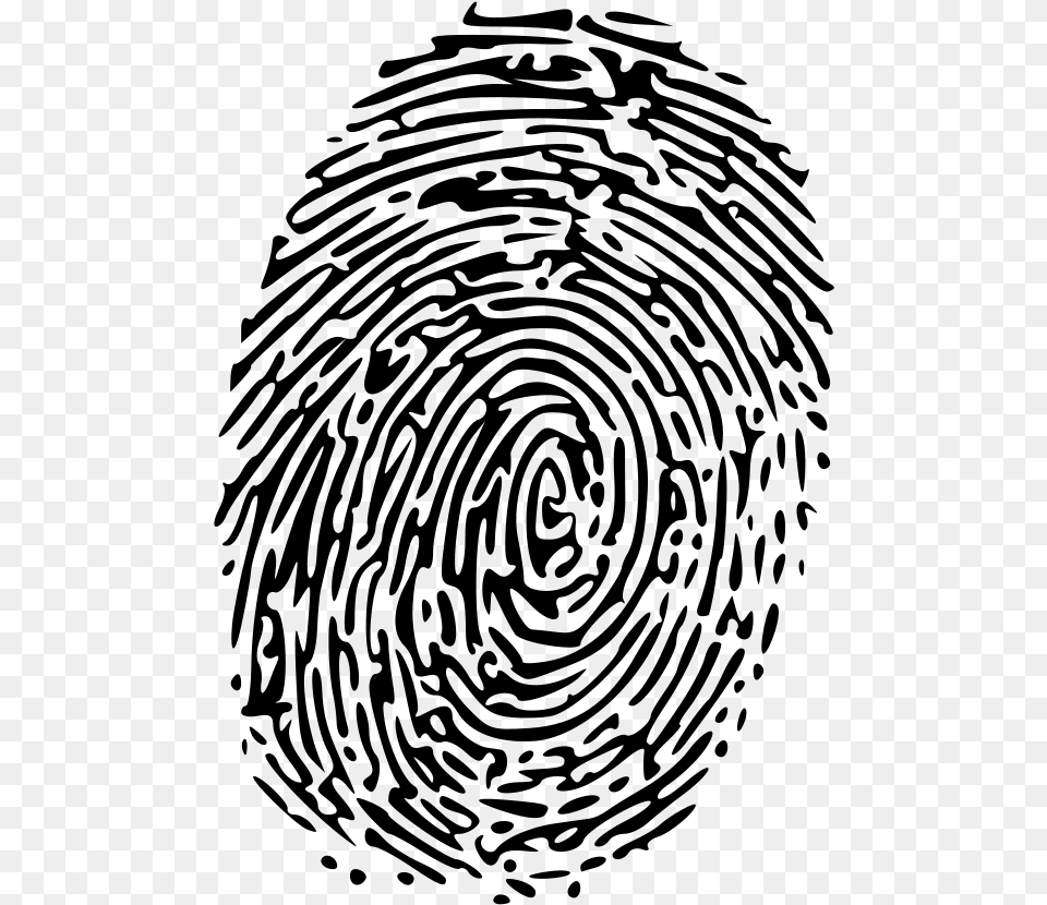 Fingerprint Vector High Resolution Fingerprint Clip Art, Gray Free Png