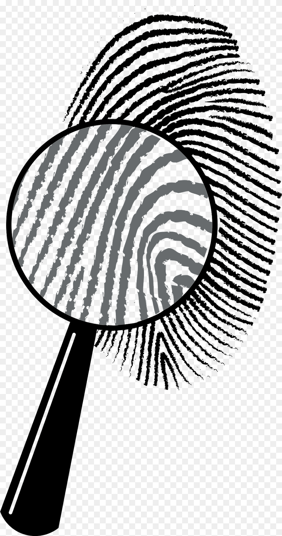 Fingerprints Clipart, Magnifying, Animal, Bird Free Transparent Png