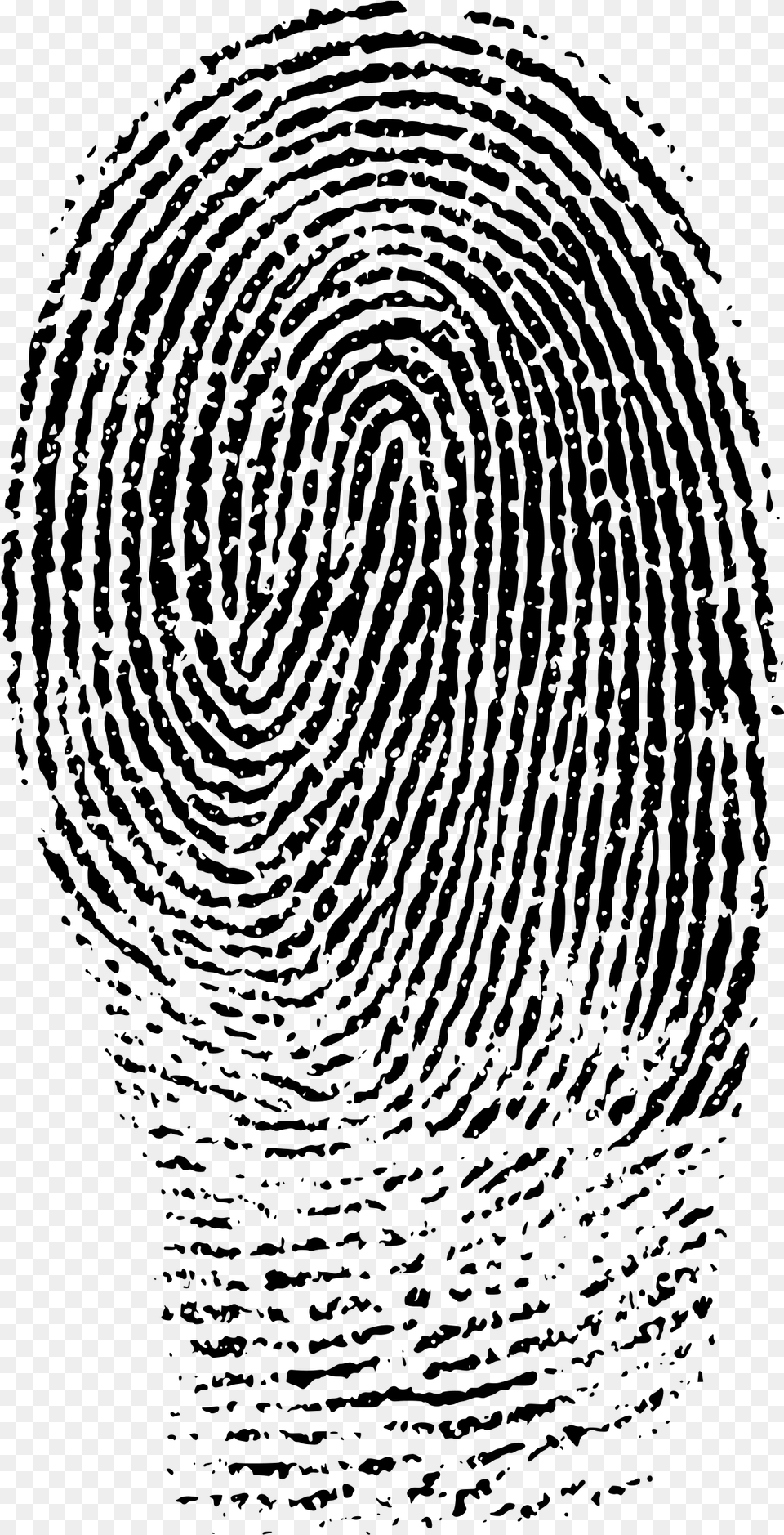 Fingerprints Images Fingerprint Evidence, Gray Png