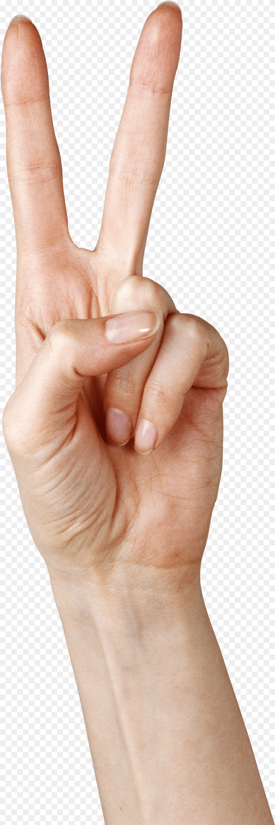 Fingers Clipart Peace Sign Hand Png Image