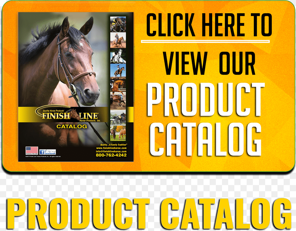 Finish Line Horse Products Dealer Catalog Galmegi Brewing Haeundae, Animal, Mammal, Person, Text Free Transparent Png