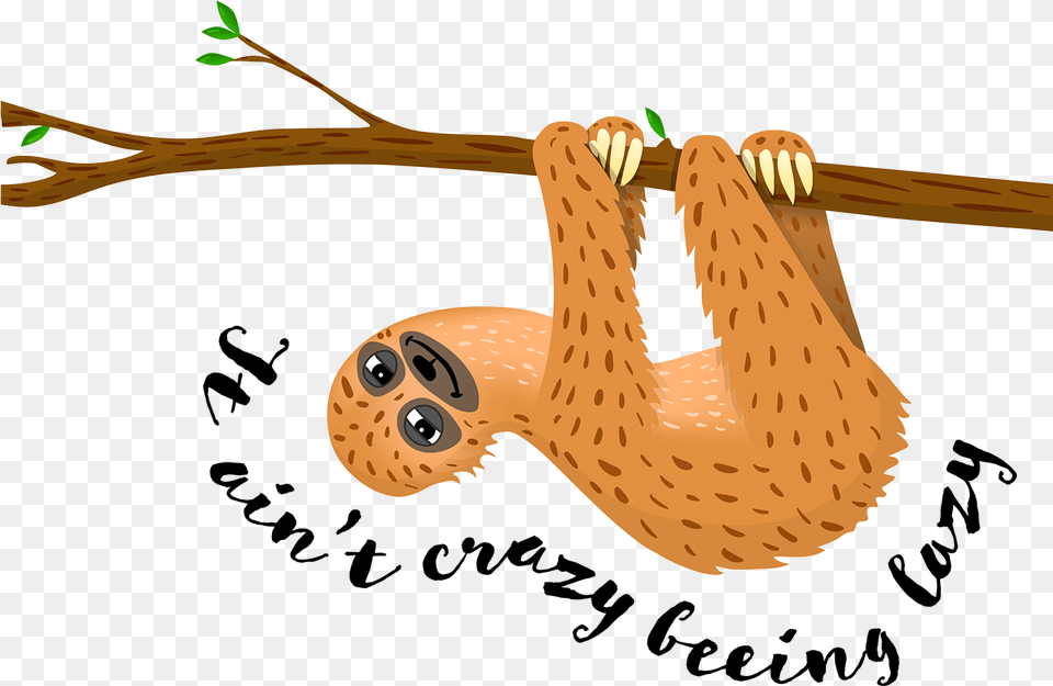 Finished Artwork Made With Illustrator Available On Sloth, Animal, Mammal, Wildlife, Three-toed Sloth Png
