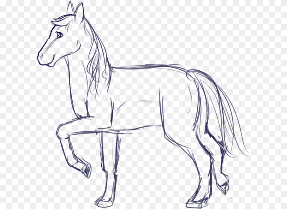 Finished Refs For Feathered Arrow Sketch, Andalusian Horse, Animal, Horse, Mammal Png Image