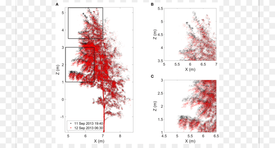 Finnish Birch Point Cloud Profiles At The Time Of Sunset Pine, Chart, Plot, Plant, Tree Free Png