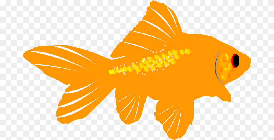 Fins Clipart Sea Life, Animal, Fish, Sea Life, Goldfish Free Png Download