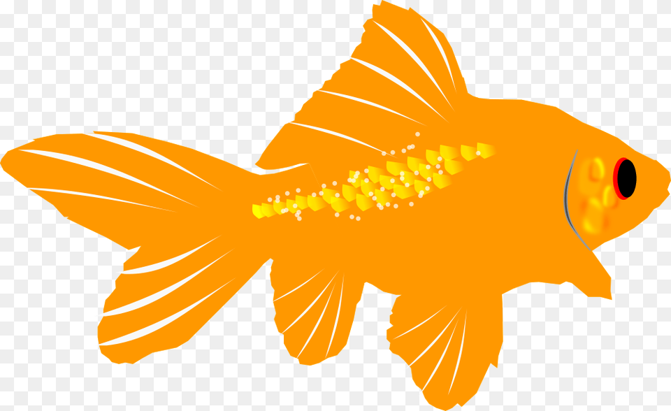 Fins Clipart Sea Life Goldfish, Animal, Fish, Sea Life, Shark Free Png