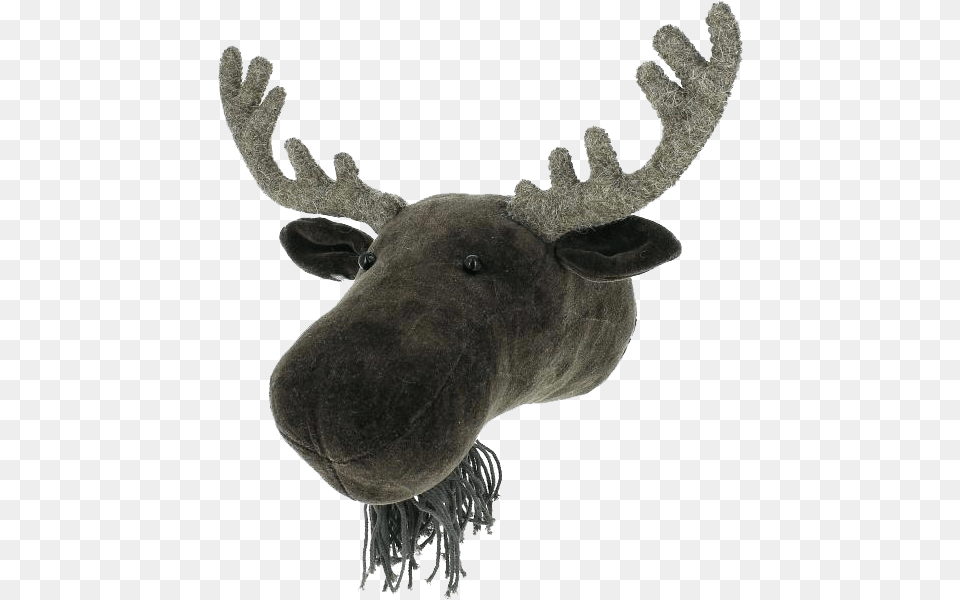 Fiona Walker England Moose Velvet Mini Animal Head, Mammal, Wildlife Png Image