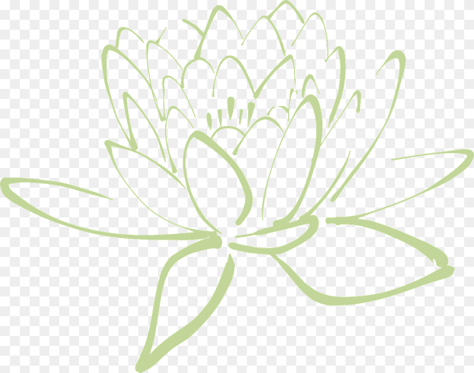 Fiori Di Loto Stilizzati, Plant, Flower, Stencil, Dahlia Png