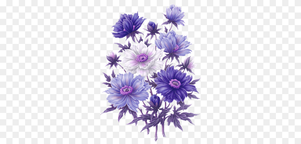 Fiori Viola 2 Image Fiori Viola, Anemone, Plant, Purple, Flower Free Transparent Png