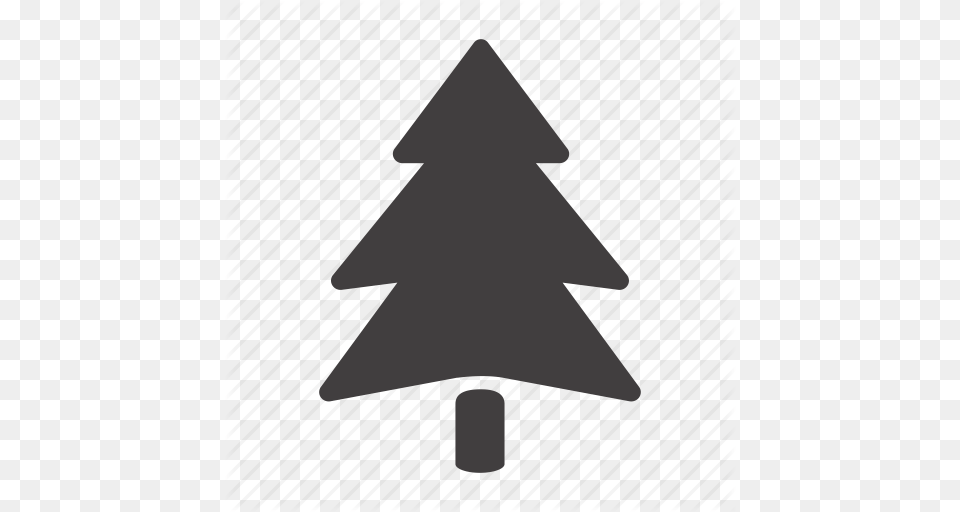 Fir Fir Tree Forest Pine Plant Tree Icon, Triangle Free Transparent Png