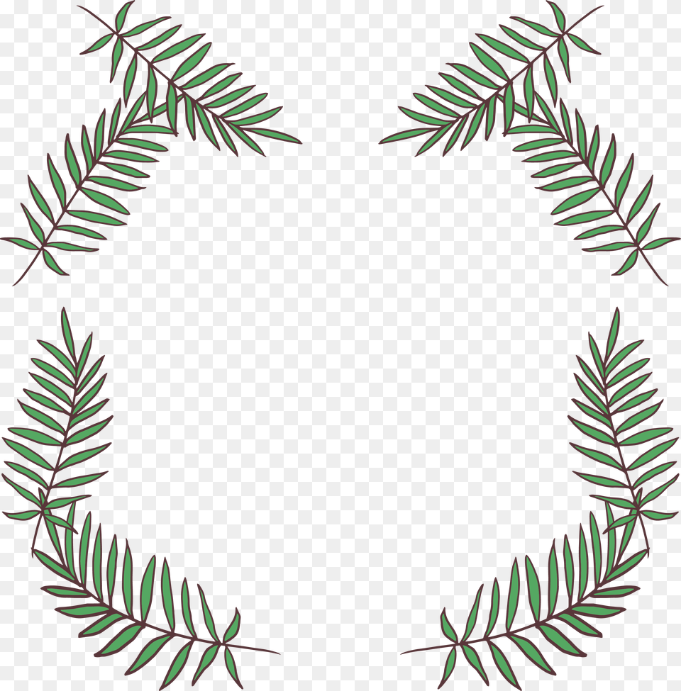 Fir Leaf Pine Pine Needles, Plant, Tree Png