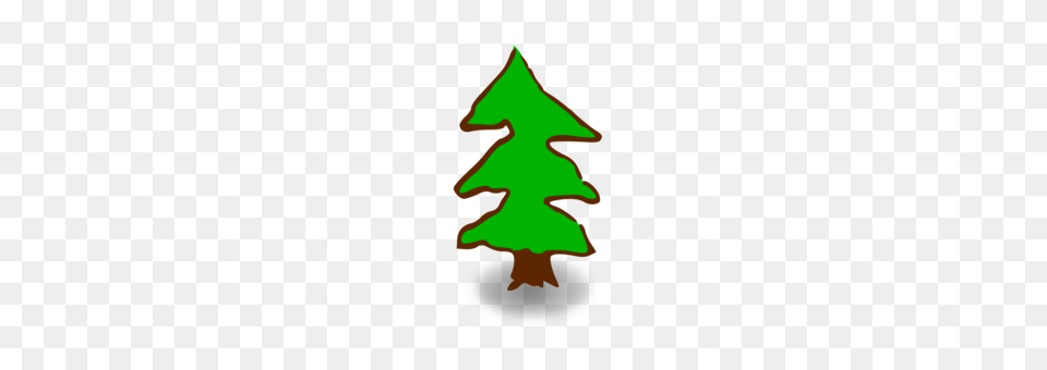 Fir Pine Tree Spruce Geometry, Light, Face, Head, Person Free Png