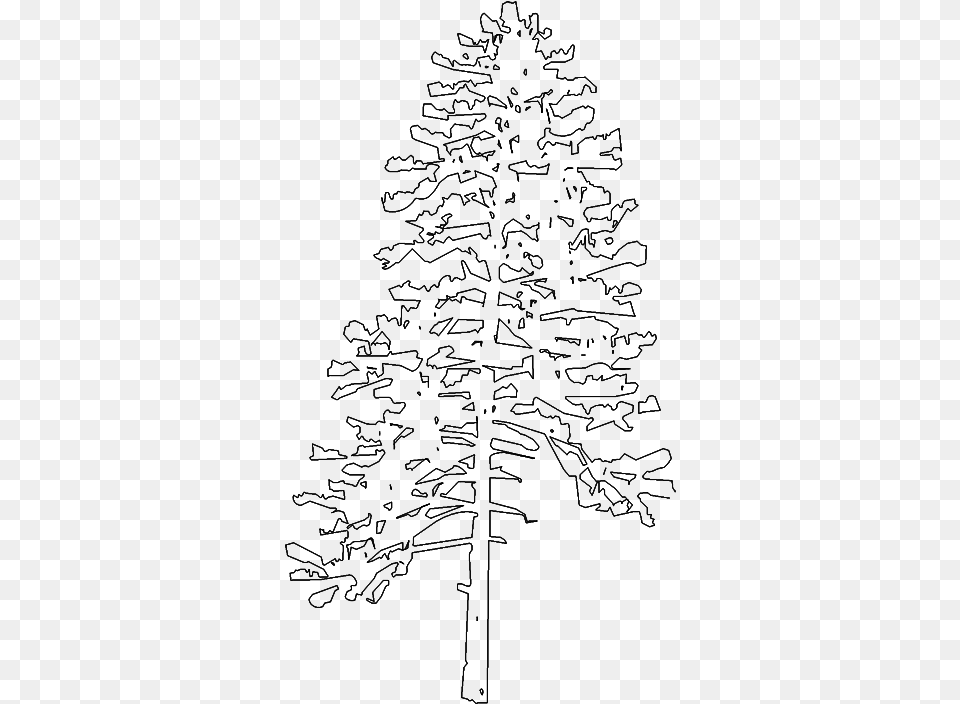 Fir Spruce Christmas Tree Twig Line Art Pine Tree Elevation, Gray Free Png