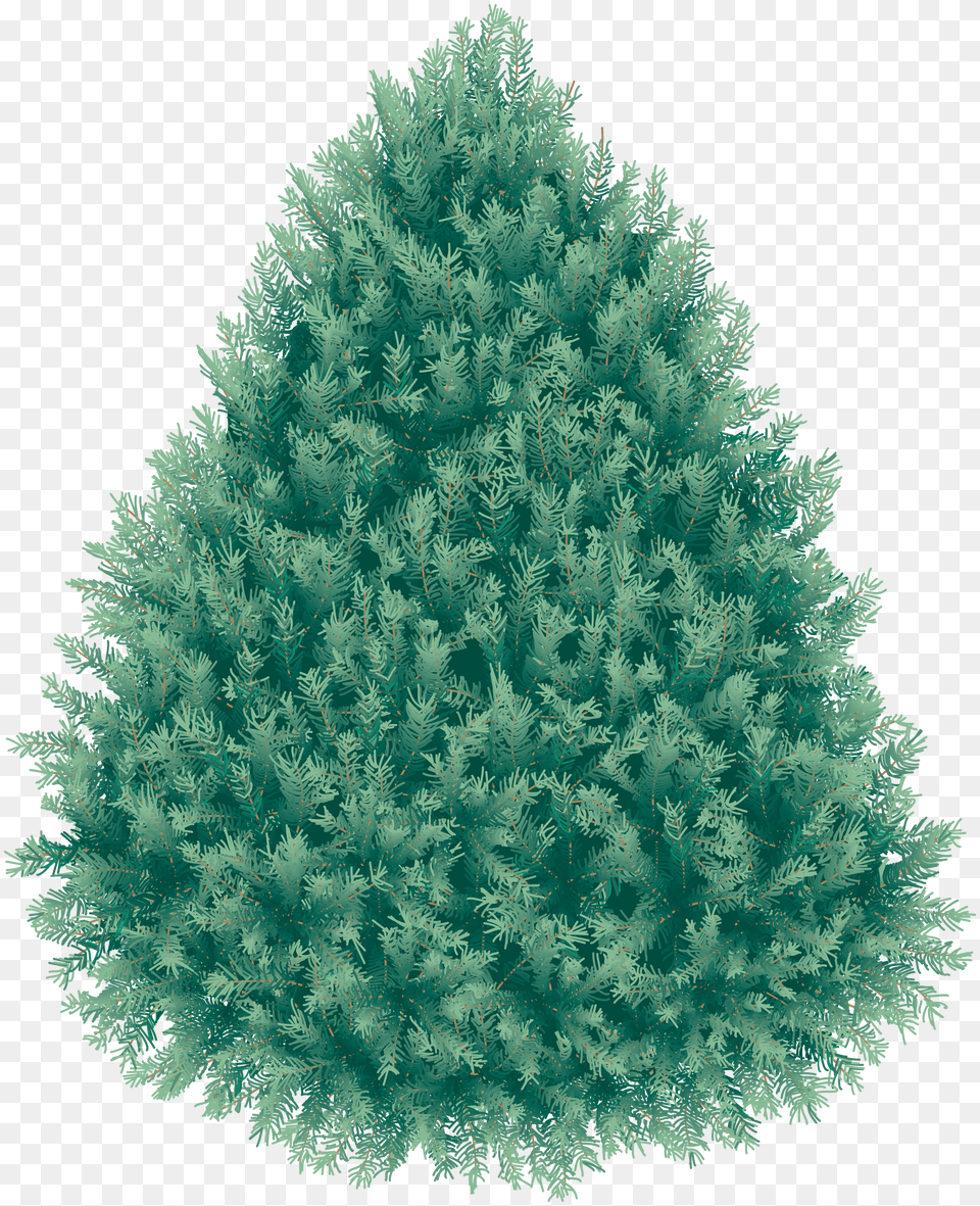 Fir Tree Free Png Download