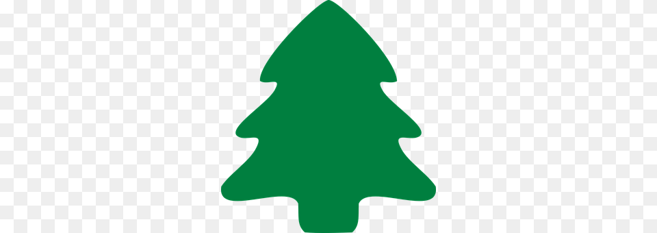 Fir Tree Leaf, Plant, Christmas, Christmas Decorations Free Transparent Png