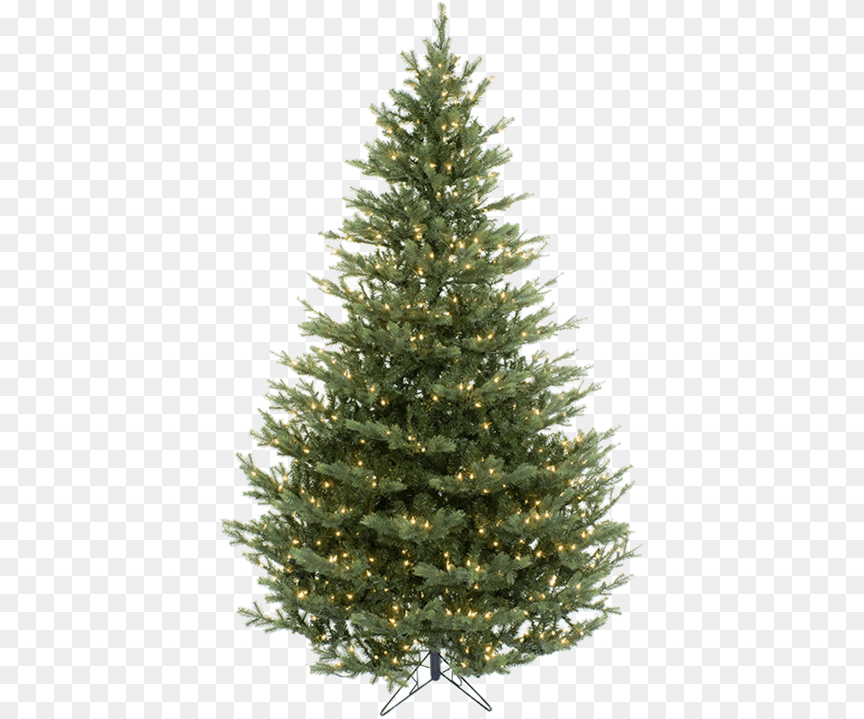 Fir Tree, Plant, Pine, Christmas, Christmas Decorations Free Png