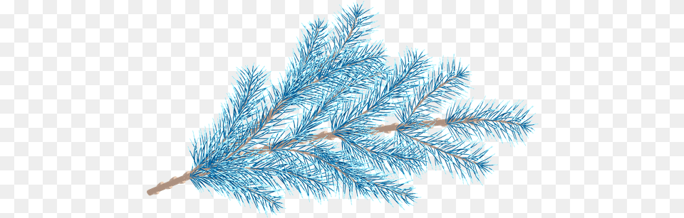 Fir Tree Branches With A Star Photos By Canva Shortstraw Pine, Conifer, Plant, Ice, Outdoors Png