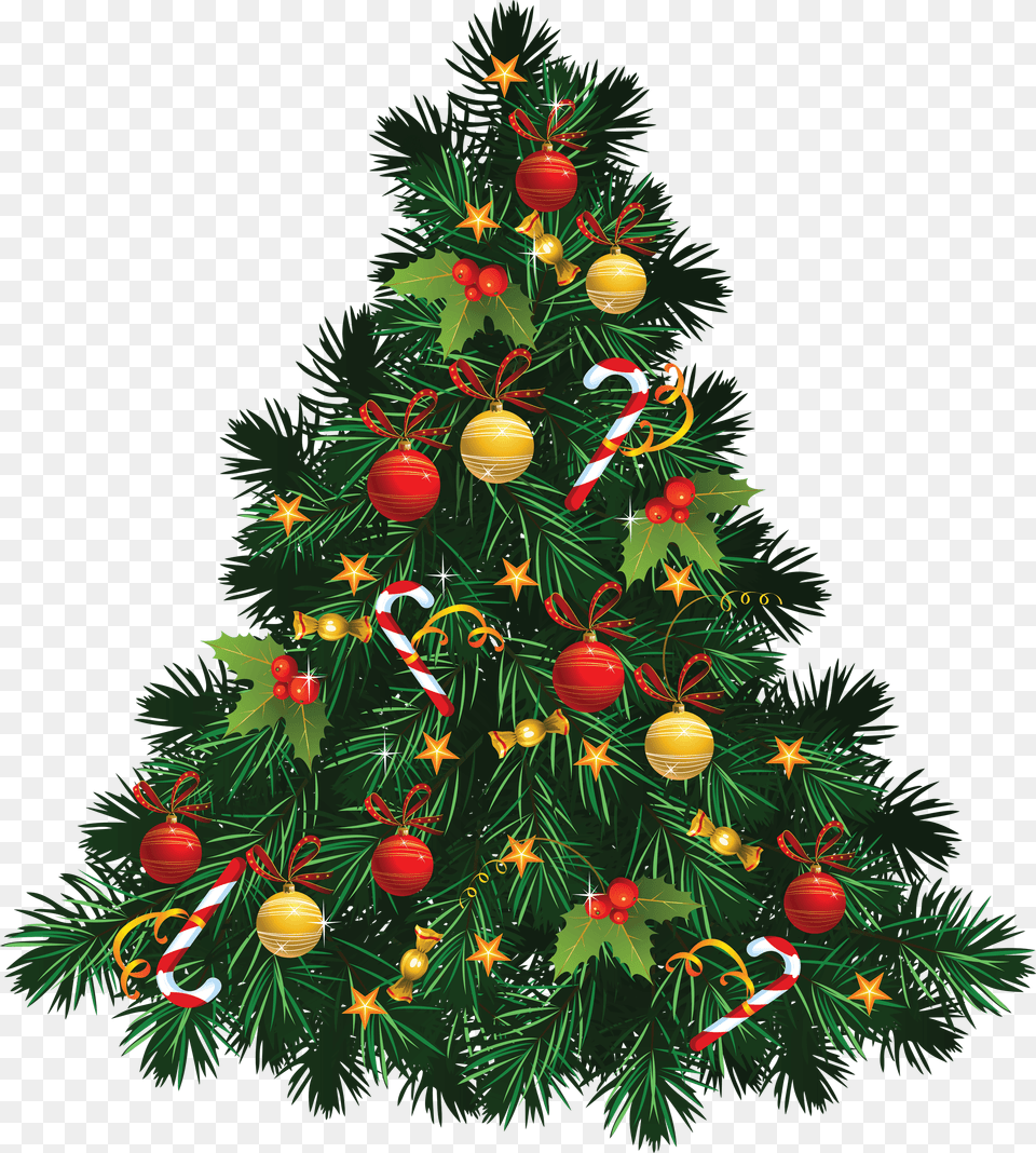 Fir Tree Christmas, Plant, Christmas Decorations, Festival, Christmas Tree Free Transparent Png