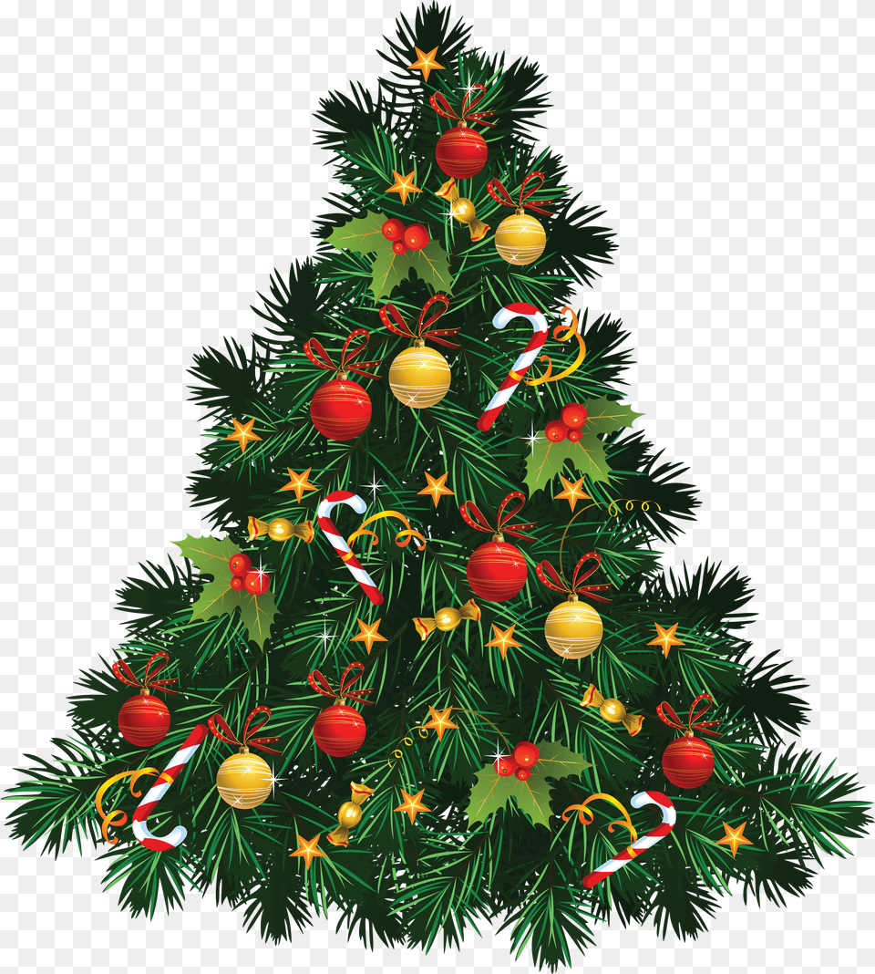 Fir Tree Christmas Stickpng Christmas Tree Images Png