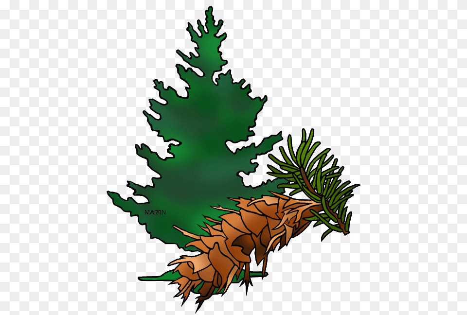 Fir Tree Clipart, Conifer, Plant, Leaf, Spruce Free Png