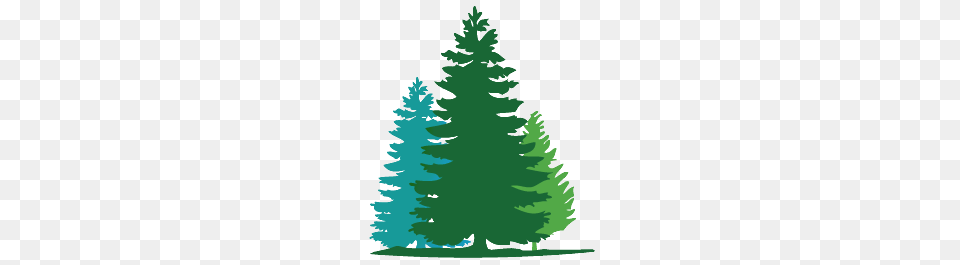 Fir Tree Clipart, Plant, Water, Green, Land Png Image