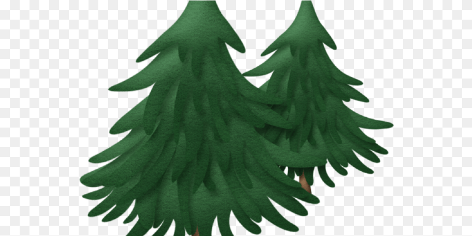 Fir Tree Clipart Cypress Sapin Clipart Image Pine Tree Clipart, Plant, Conifer, Person Free Transparent Png