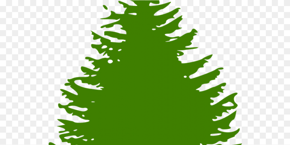 Fir Tree Clipart Forrest Blue Pine Tree Silhouette, Green, Plant, Conifer, Person Png