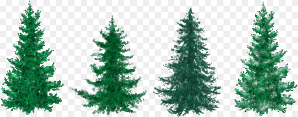 Fir Tree Clipart Group Tree Fir Christmas Tree Clipart, Pine, Plant, Conifer Free Png
