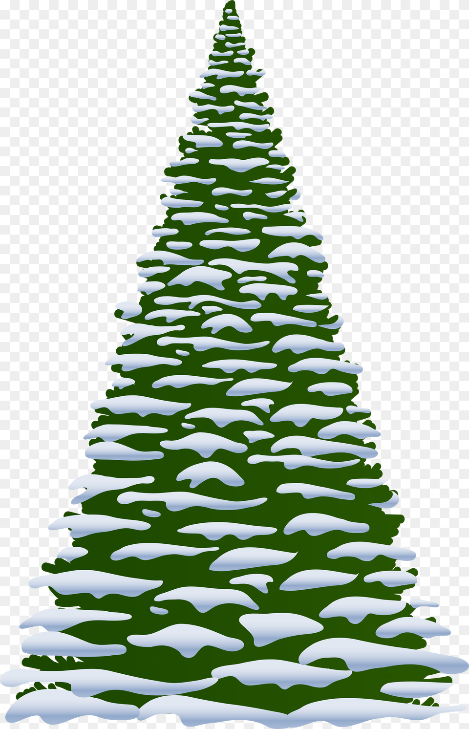 Fir Tree Clipart Oregon Tree Christmas Tree With Snow Clipart, Plant, Christmas Decorations, Festival, Christmas Tree Png