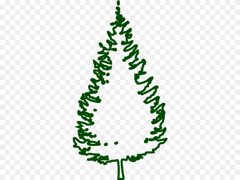 Fir Tree Conifer Vector Graphic On Pixabay Transparent Christmas Tree Outline, Plant, Christmas Decorations, Festival, Pine Free Png