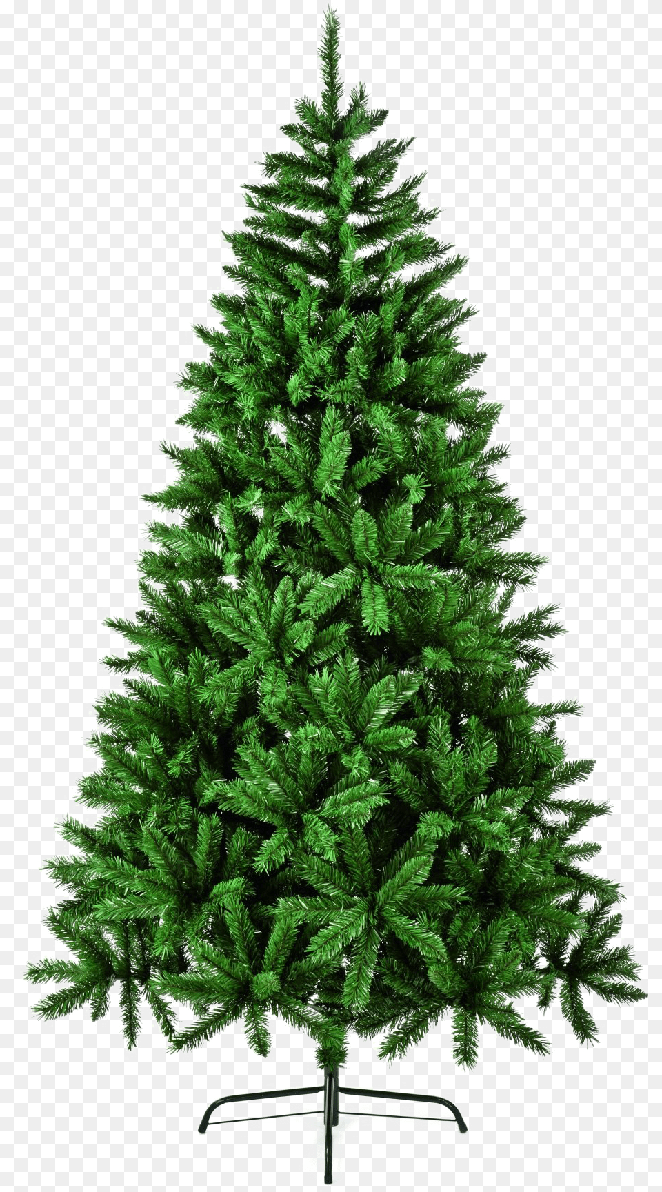 Fir Tree Download Image Arts Nordic Fir Tree, Pine, Plant, Conifer, Christmas Free Png
