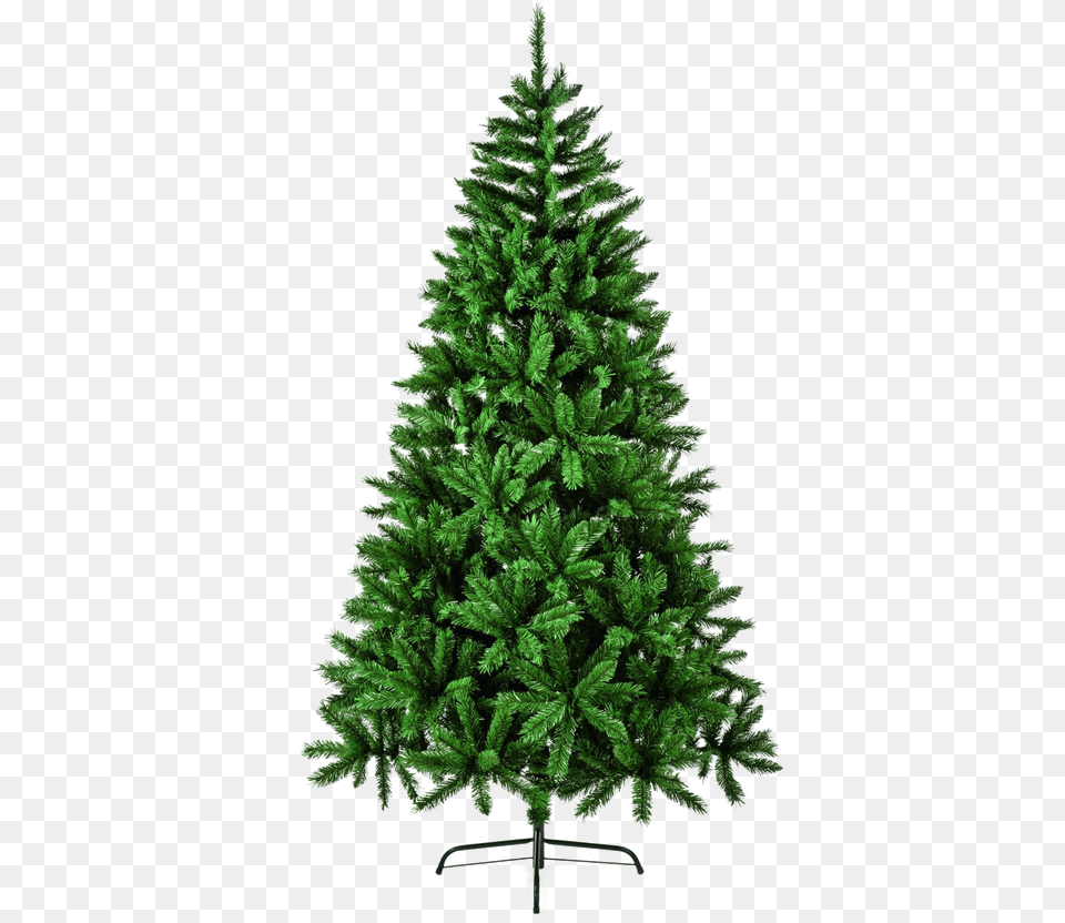 Fir Tree Arts, Pine, Plant, Christmas, Christmas Decorations Png Image