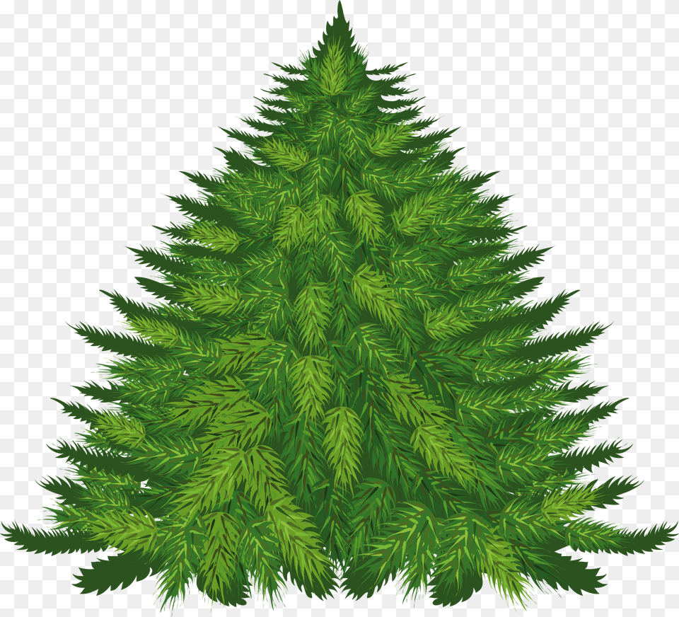 Fir Tree Image For Download Fir Tree, Clothing, Glove, Symbol, Sign Free Png